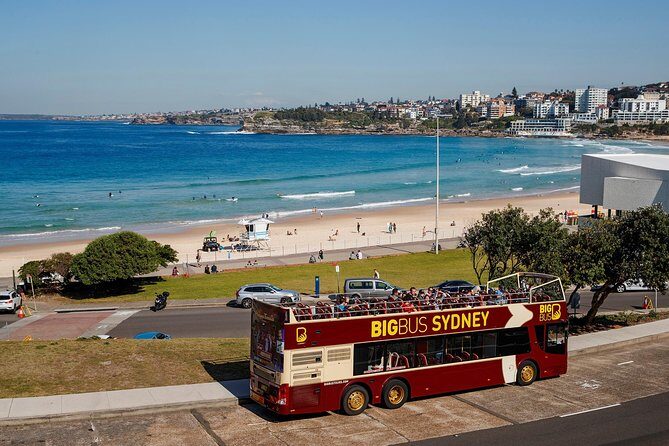 Big Bus Sydney and Bondi Hop-on Hop-off Tour - Overview of the Experience