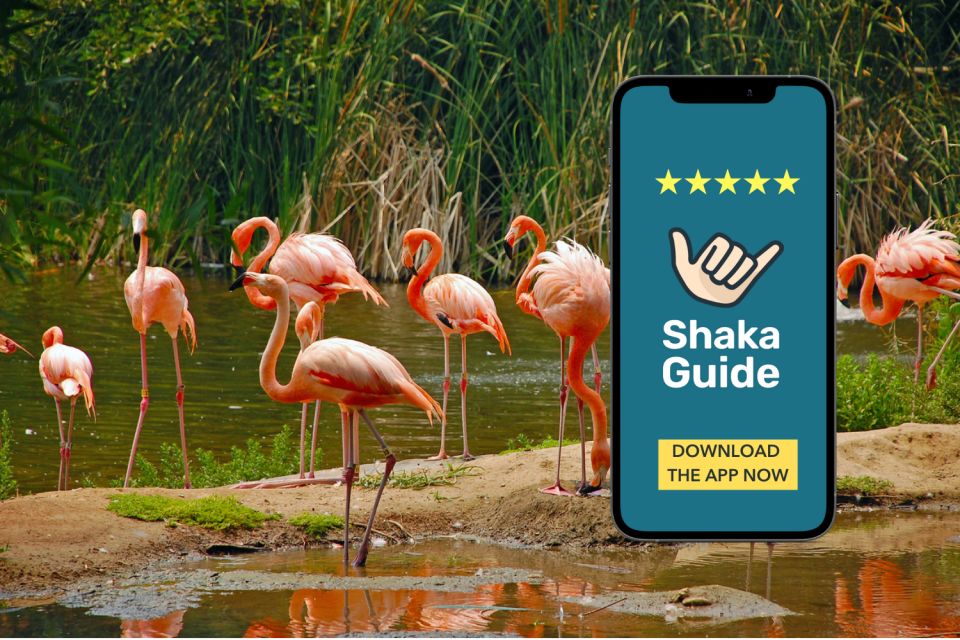 Big Cypress National Preserve: Audio Tour Guide - Additional Considerations