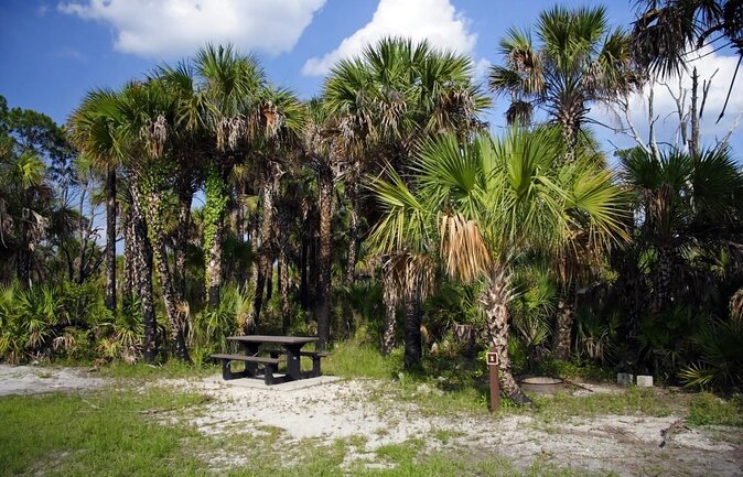 Big Cypress National Preserve Tour Review - Good To Know