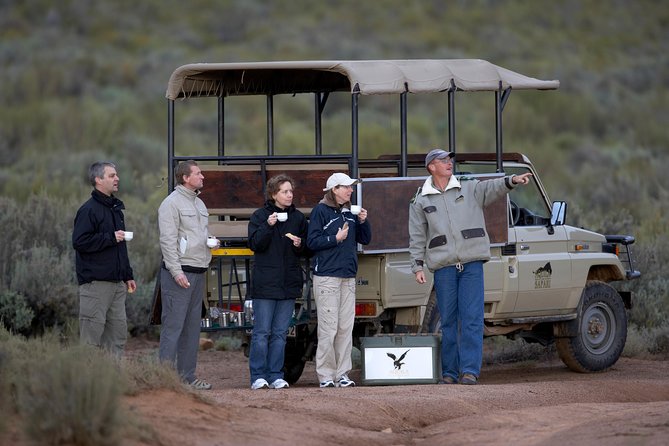 Big Five Game Reserve Wildlife Safari From Cape Town - Game Drive Experience