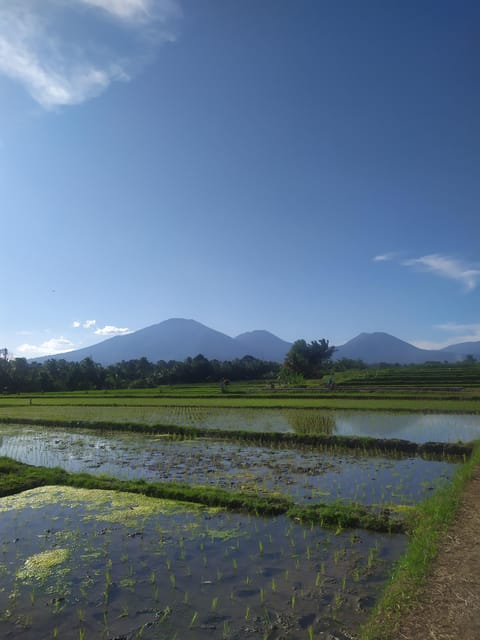Big Group Tour in Bali - Itinerary and Highlights