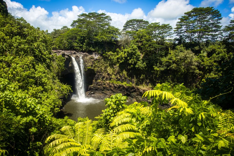Big Hawaii: Private Guided Van Tour - Customer Reviews