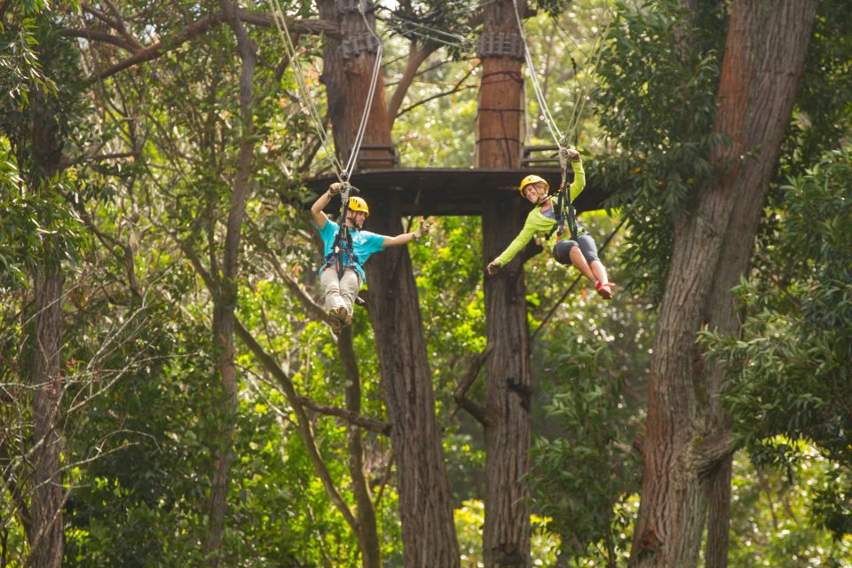 Big Island: 3-Hour Kohala Canopy Zipline Adventure - Highlights of the Aerial Trekking Course