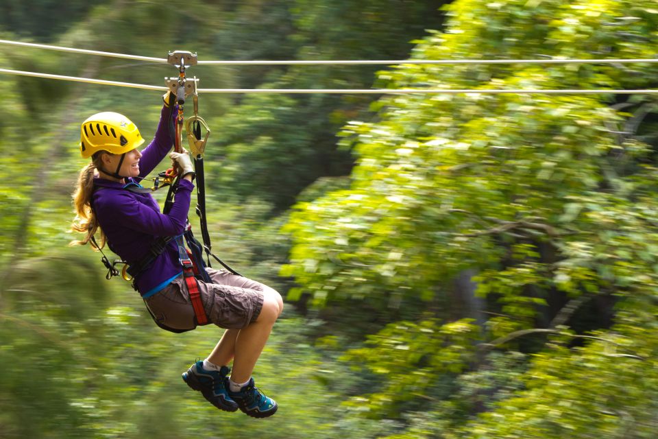 Big Island: 3-Hour Kohala Canopy Zipline Adventure - Zipline Speed and Experiences