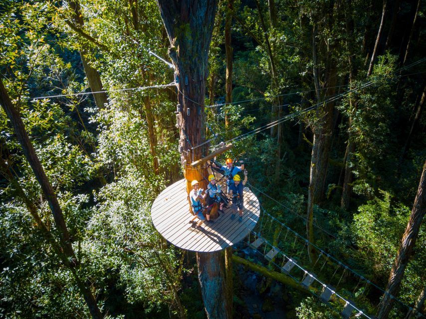 Big Island: 3-Hour Kohala Canopy Zipline Adventure - Off-Road Drive in a 4x4 Vehicle