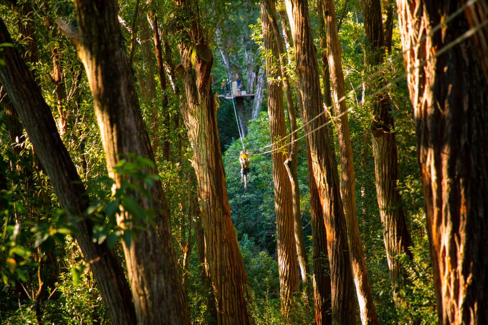 Big Island: 3-Hour Kohala Canopy Zipline Adventure - Included Safety Gear and Essentials