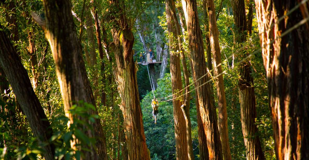 Big Island: 3-Hour Kohala Canopy Zipline Adventure - Frequently Asked Questions