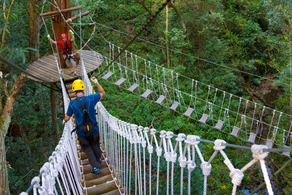 Big Island: 3-Hour Kohala Canopy Zipline Adventure - Inclusions Provided