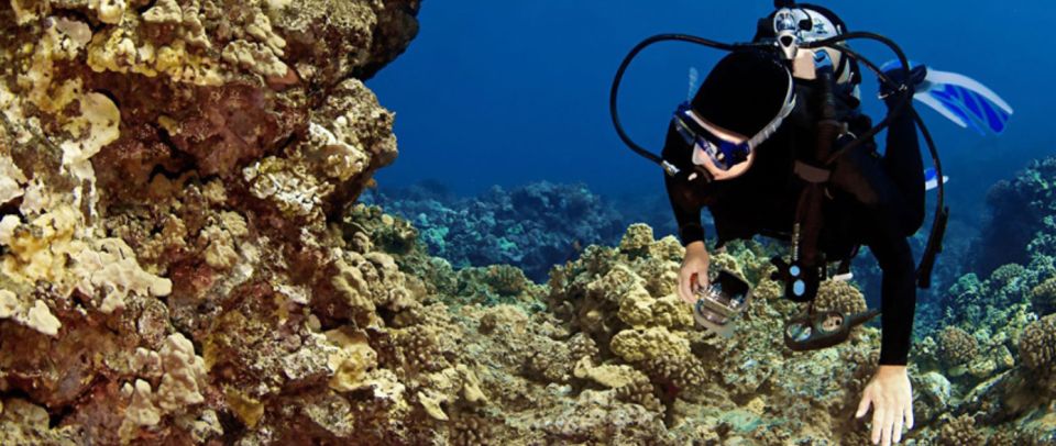 Big Island: 3 Hour Waikoloa Snorkeling & Sailing Adventure - Highlights of the Adventure