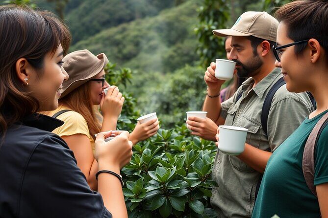 Big Island Epic Coffee Tour - ATV Ride Included - Key Points