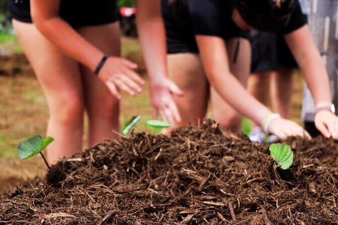 Big Island Family Off Road Farm Adventure - FAQ