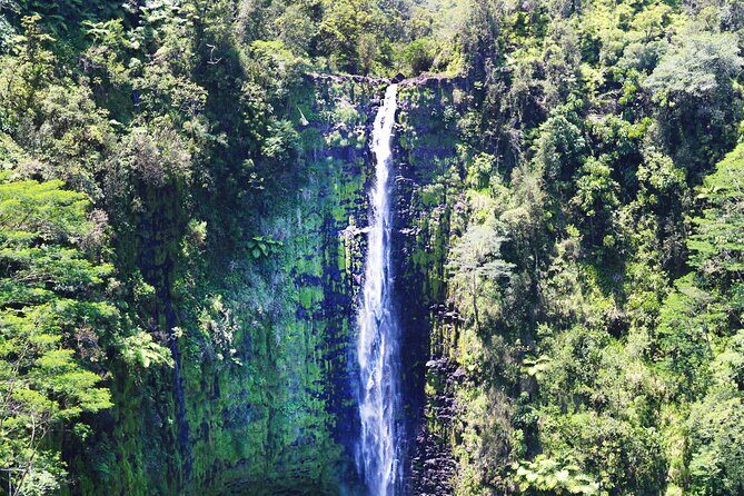 Big Island Full Circle with Volcanoes and Akaka Falls Tour - The Experience from Travelers’ Perspectives