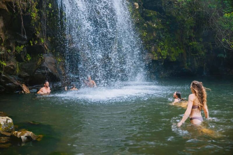Big Island: Full Day Adventure Tour of the Kohala Waterfalls - Who Is This Tour Best For?