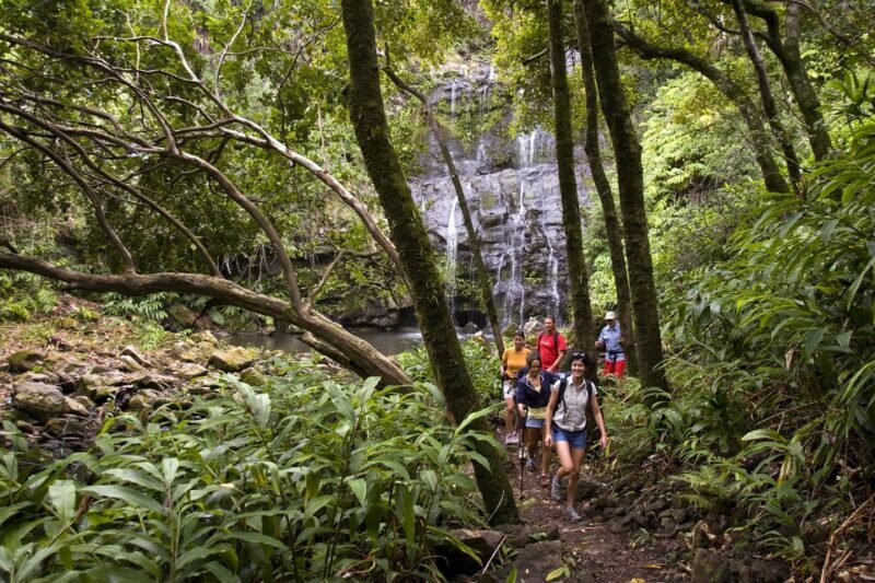 Big Island: Full Day Adventure Tour of the Kohala Waterfalls - FAQ