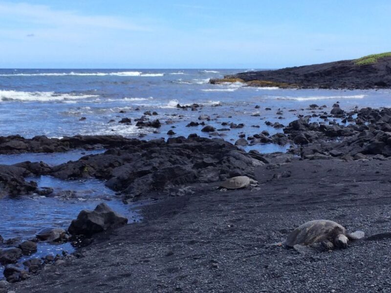 Big Island: Full Day Circle Island Tour From Kona - Key Points