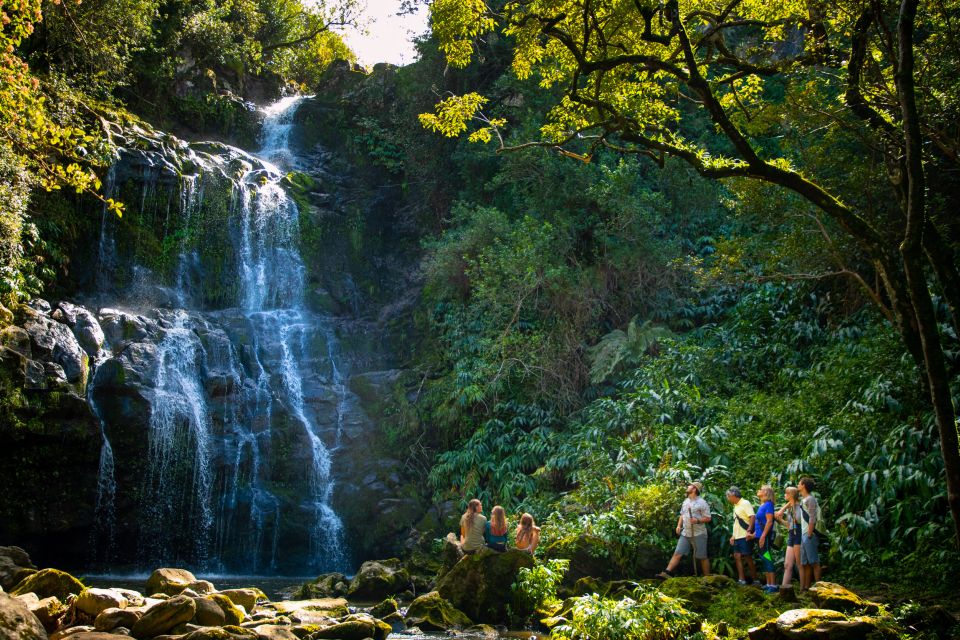 Big Island: Full-Day Kohala Zipline and Waterfall Adventure - Stroll to Secluded Waterfalls