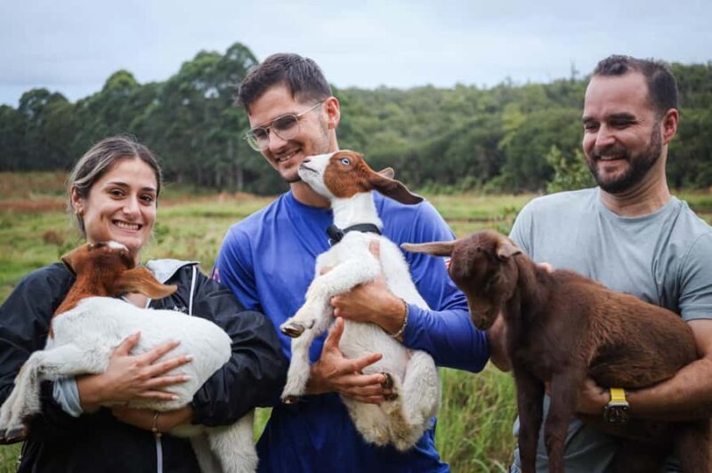 Big Island: Hand Feed & Cuddle Baby Goats - The Sum Up