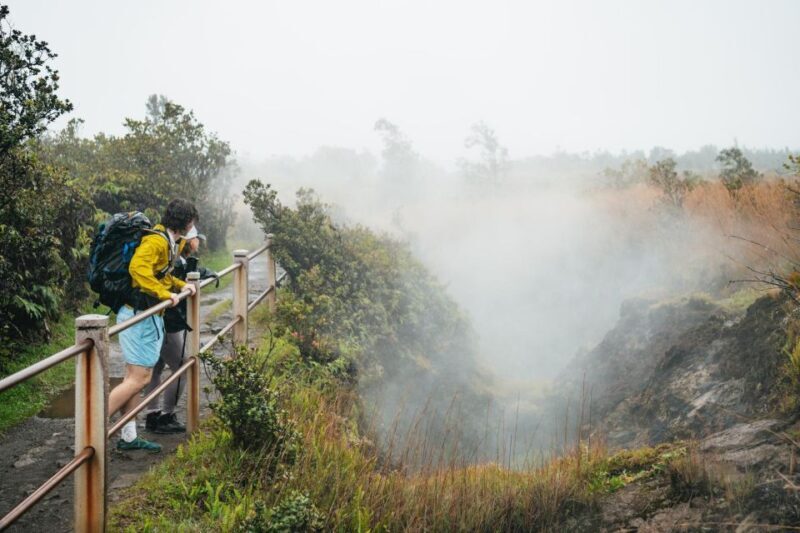 Big Island: Hawai'i Volcanoes National Park Guided Hike - Final Words