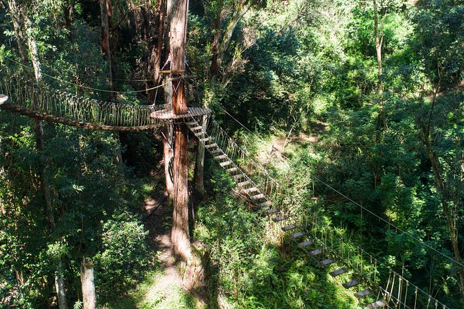 Big Island Kohala Canopy Zipline Adventure - Frequently Asked Questions