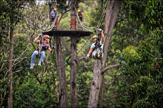 Big Island Kohala Zip and Dip Tour From Kona - Booking Information