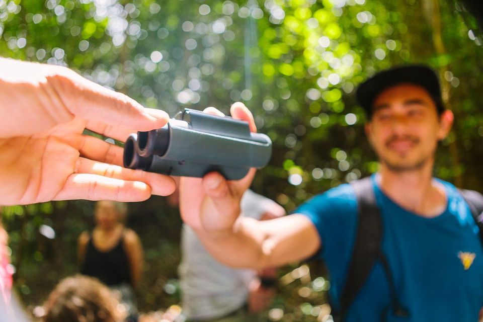 Big Island: Native Bird Watching & Hiking Tour - Booking Information