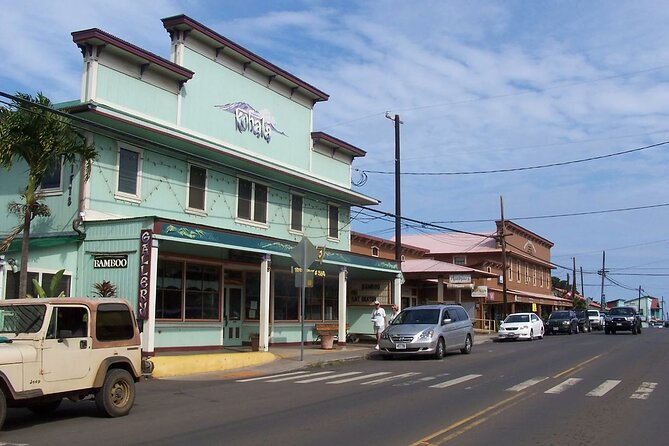 Big Island North Kohala Coast and Pololu Lookout Private Tour - Tour Experience