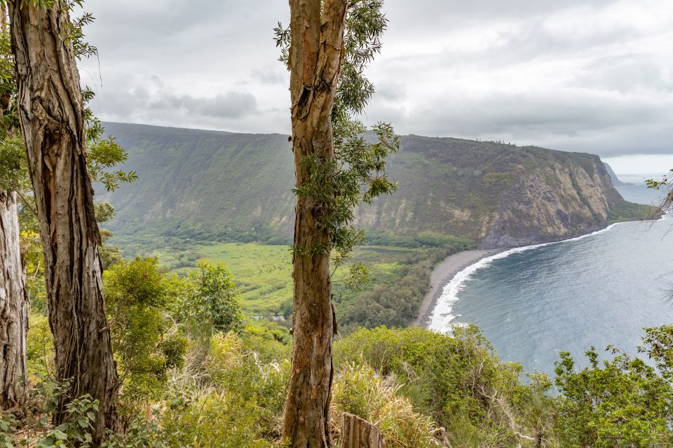 Big Island: Private Island Circle Tour With Lunch and Dinner - Language and Pickup Information