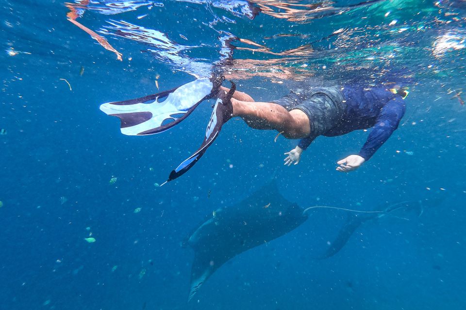 Big Island: Snorkel With Manta Rays - Manta Guarantee - Cancellation Policy