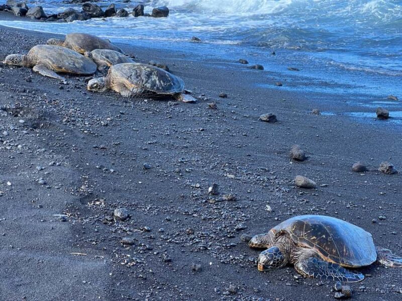 Big Island: Volcano, Waterfalls & Coffee Group Tour - The Sum Up