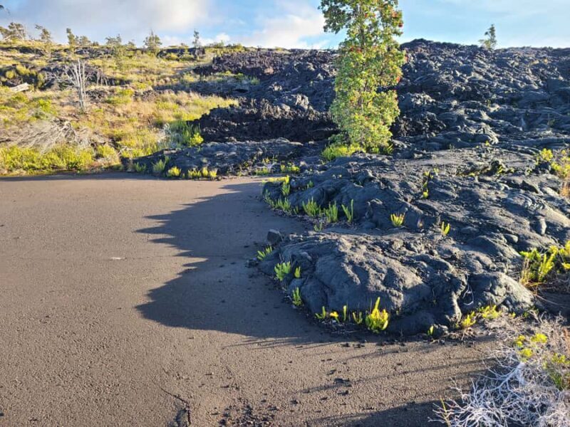 Big Island: Volcanoes National Park Private Tour - FAQ
