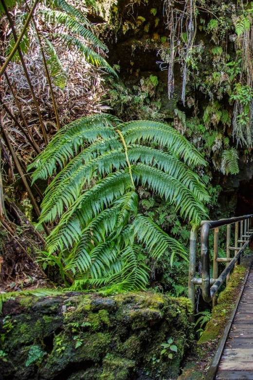 Big Island: Volcanoes, Waterfalls, & Coffee Farm Day-Trip - Experience Details