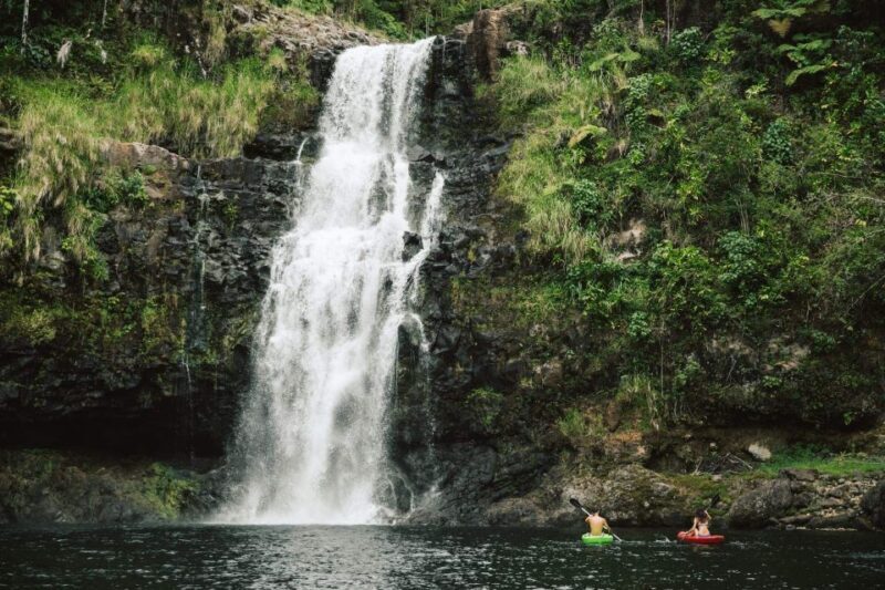 Big Island: Waterfall Tour with Swimming & Botanical Garden - Who Is This Tour Best For?