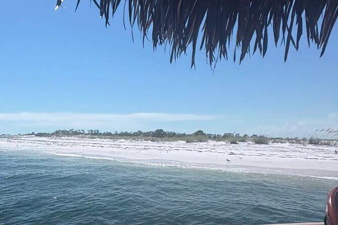 Big Kahuna Sunset Dolphin Cruise Experience - Final Words