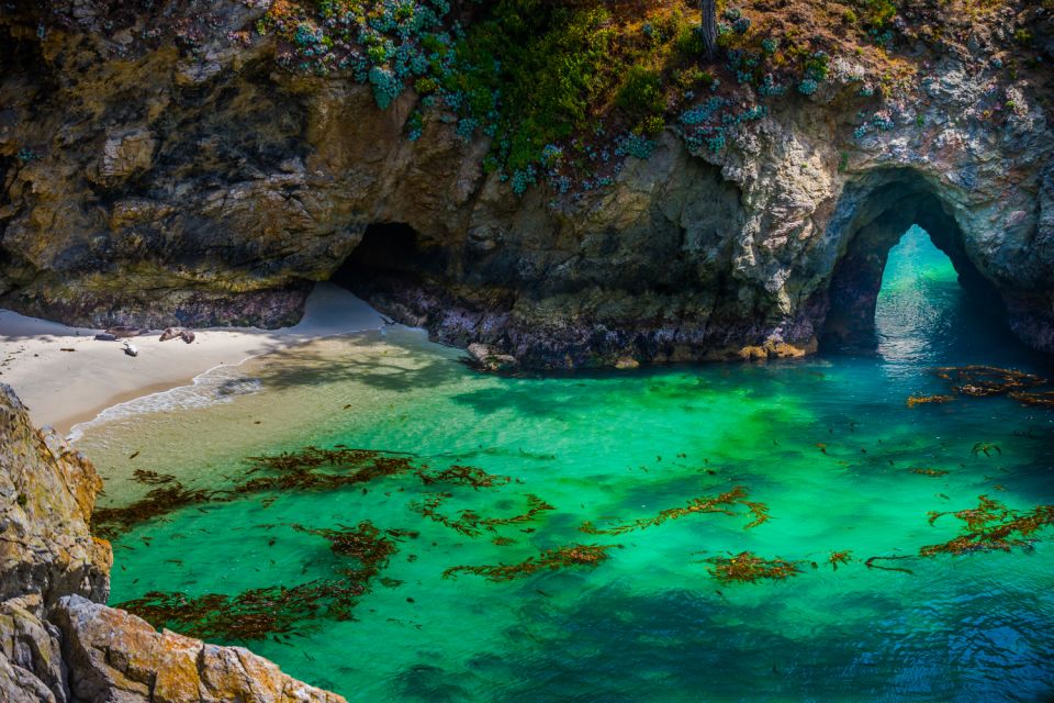 Big Sur & 17-Mile Self-Guided Audio Driving Tour - McWay Falls
