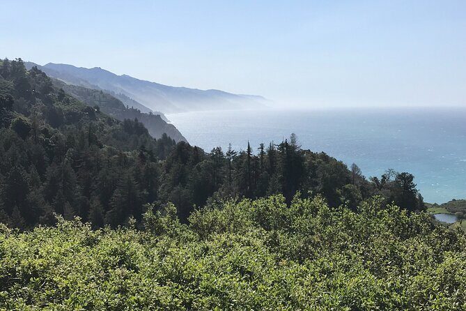 Big Sur Sightseeing Tour - Practical Details & Tips
