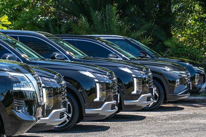 Biggvee Premium Airport One Way Transfer - Practical Details & Booking