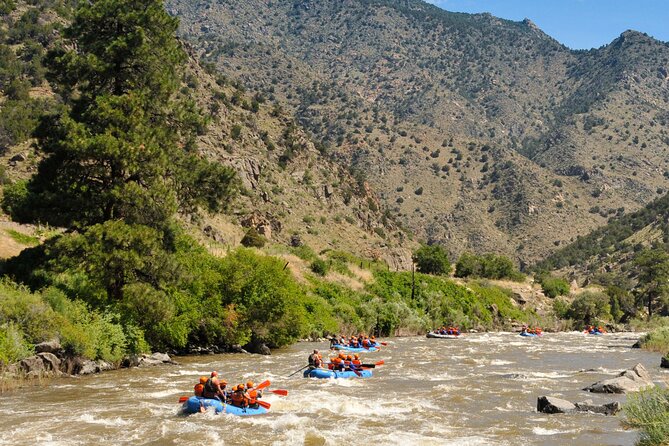 Bighorn Sheep Canyon Half Day Tour (Free Wetsuit Gear Use) - Customer Reviews