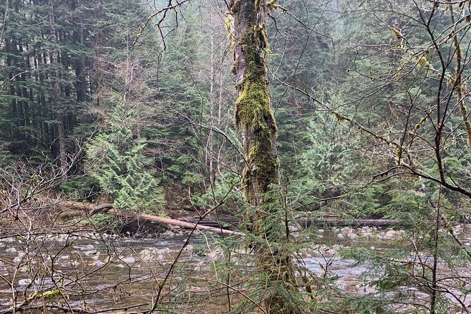 Bike/ E-bike North Vancouvers Seymour Demonstration Forest - Booking Information