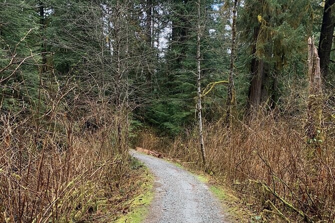 Bike/ E-bike North Vancouvers Seymour Demonstration Forest - Tour Highlights