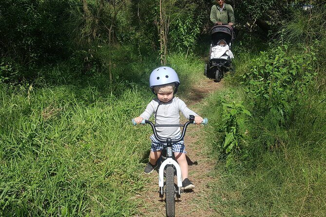 Bike & eBike Hire - An In-Depth Look at the Bike & eBike Hire Experience