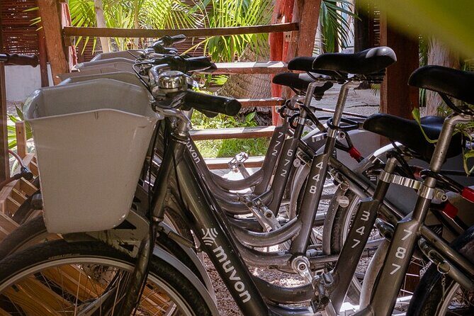 Bike Rental in Tulum downtown - Final Thoughts