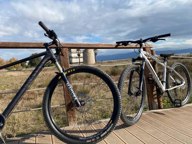 Bike rental: Port of Cagliari, Su Siccu, Nervi Park, Molentargius - Key Points