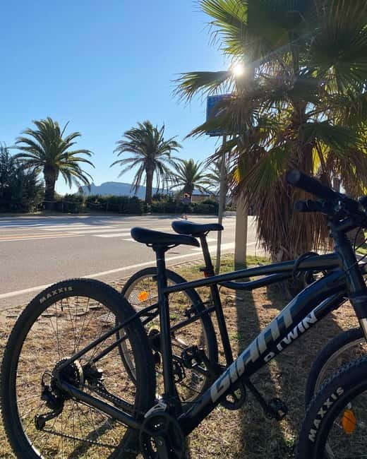 Bike rental: Port of Cagliari, Su Siccu, Nervi Park, Molentargius - Entering Poetto Beach and Molentargius Park