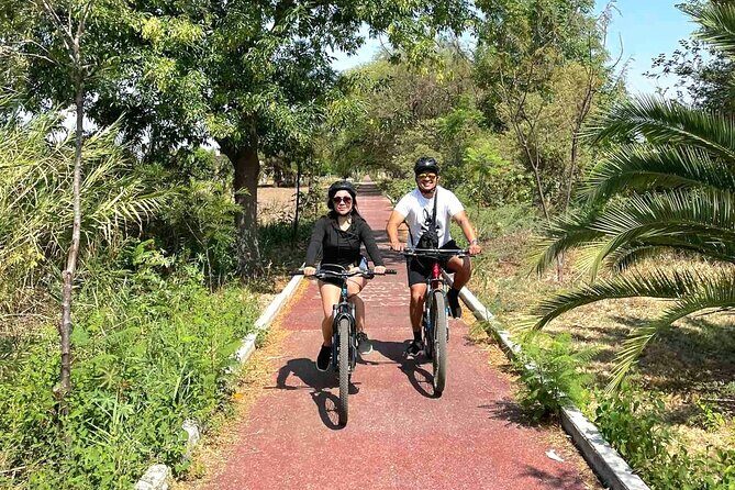 Bike Ride to the Largest Tree in the World - FAQ
