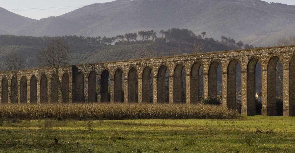 Bike Self-Tour in the Lucca Countryside and Green Landscapes - Experience Highlights