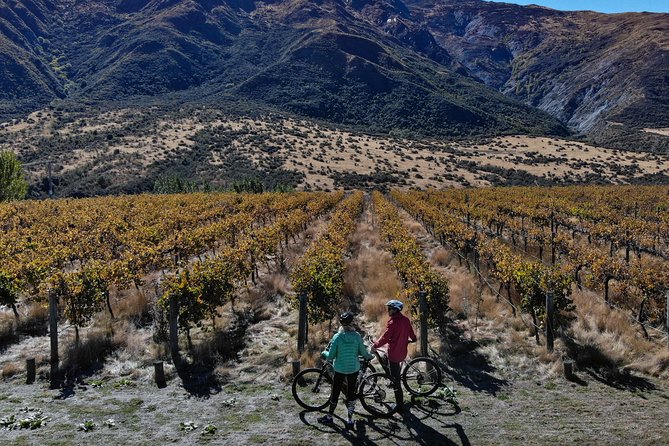 Bike The Wineries Half Day Ride Queenstown - Booking Information