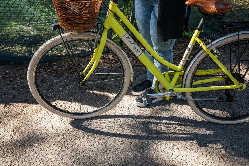 Bike Tour in Ronchi - Tour of the Tuscan Villas - Booking and Availability