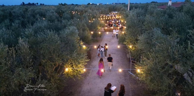 Bike tour in Trani + visit to olive grove and evo oil tasting - Final Thoughts: Who Is This Tour Best For?