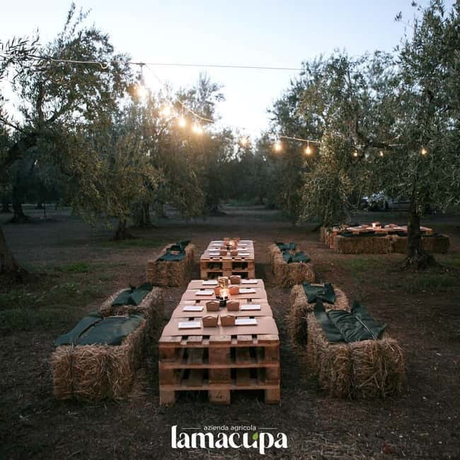 Bike tour in Trani + visit to olive grove and evo oil tasting - FAQ