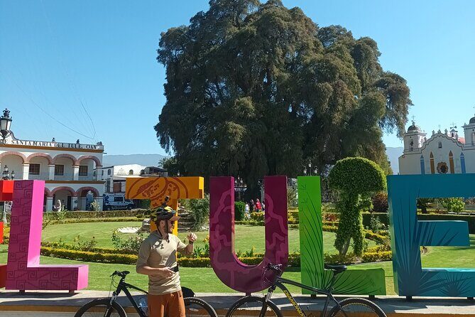 Bike tour to the Tule Tree and the Gastronomic Market - Introduction
